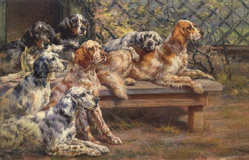 Osthaus, Edmund Henry Seven English Setters china oil painting image